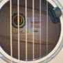 Taylor 614 Ce Ltd 50th Anniversary Image 5