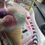 Kids Bundle Image 2