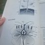 The New York Public Library Science Desk Reference (Soft cover) Image 7