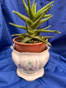 John Aynsley Wild Tudor planter