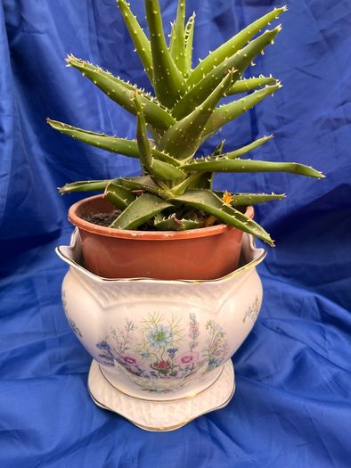 John Aynsley Wild Tudor planter