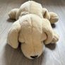 Plush dog toy, a Golden Retriever or Yellow Labrador puppy Image 2