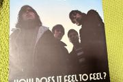 vinyl 12inch Ride How Does It Feel to Feel