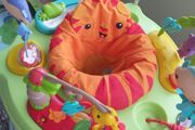Baby Bouncer