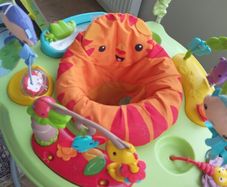 Baby Bouncer