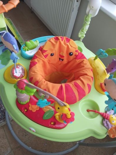 Baby Bouncer