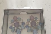 Boxed Earrings New