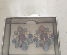 Boxed Earrings New