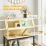 Wooden Hamster Cage with Storage Shelf, Wheels, Ramps, Water Bottle, Hut, Seesaws Image 6