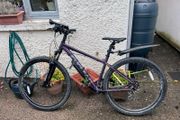 Carrera Hellcat Womens Mountain Bike - Purple, Medium