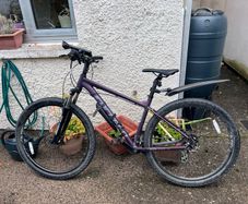 Carrera Hellcat Womens Mountain Bike - Purple, Medium