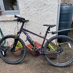 Carrera Hellcat Womens Mountain Bike - Purple, Medium