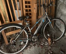 Womans Bicycle
