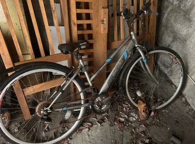 Womans Bicycle