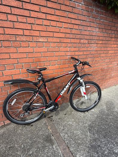 giant mountain bike