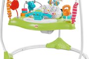 Fisher-Price Baby Bouncer