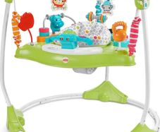 Fisher-Price Baby Bouncer