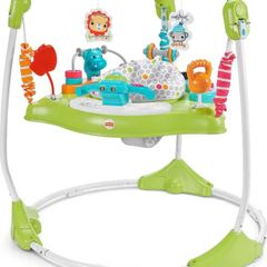 Fisher-Price Baby Bouncer