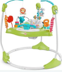 Fisher-Price Baby Bouncer