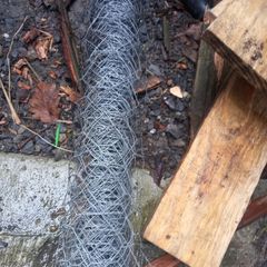 Chicken wire