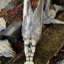 Incredibly Healing Spiritual Smudge Wand Taxidermy Wings Bone Art and Rose Quartz Crystal Wall Decor Display Image 2