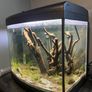 fish tank Image 2