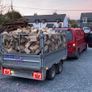firewood for sale Image 4