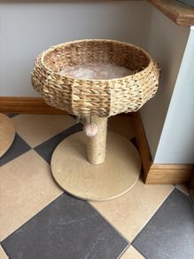 cat tree