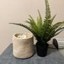 Basket - pot Image 2