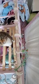 2 x Ikea childrens iron beds