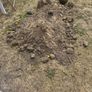 Soil Image 2
