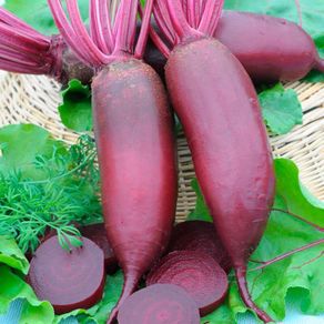 (B) Beetroot Cylindra seeds 5g (123261)