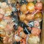 10 Packs Dolls Heads - Craft And Design Supplies - Larger Quantity Available! Image 3