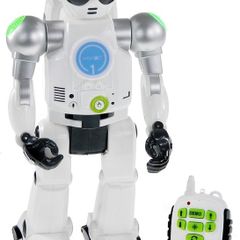 Knabo robot polski
