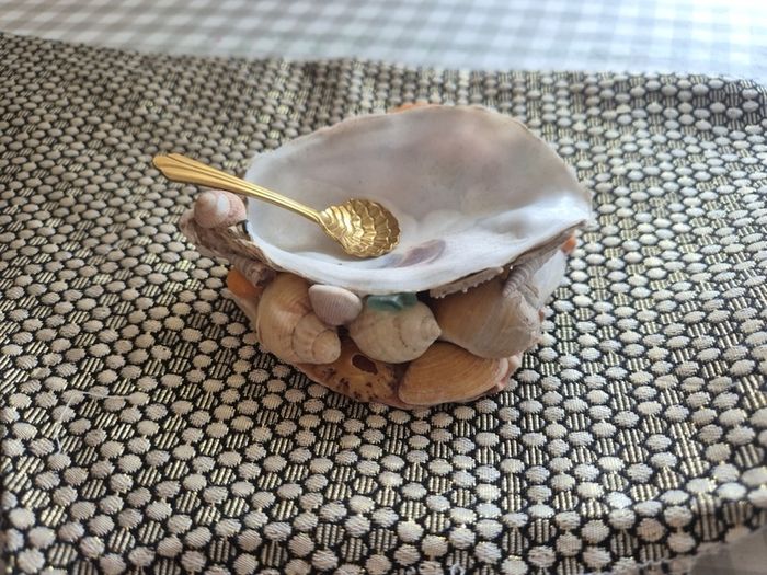 Hand crafted Oyster shell salt crock
