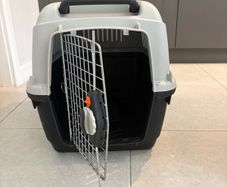 Pet carrier crate (Bracco Travel 4)