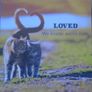 Cat themed flip book, Gift. Book.Mother's Day gift Image 4