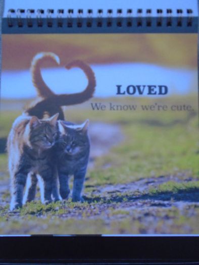 Cat themed flip book, Gift. Book.Mother's Day gift