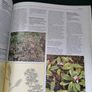 The Gardener's Guide by David Squire Image 5