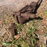2 Blacksmith's Leg Vises Image 5