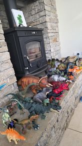 Dinosaur bundle
