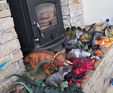 Dinosaur bundle