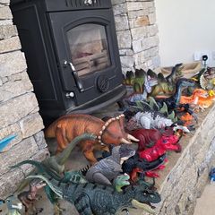 Dinosaur bundle