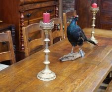 Pair of Tall Brass Gothic-style Candlesticks