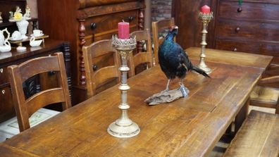Pair of Tall Brass Gothic-style Candlesticks