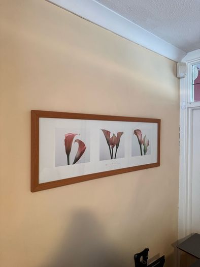 Wall Picture