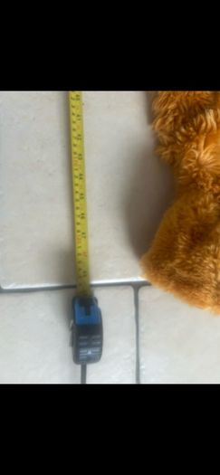 Disney Bear in The Big Blue House Costume 6-8yrs