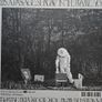 Daniel Rossen - You Belonging There. Image 2