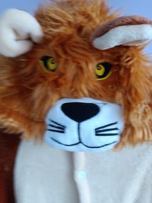 Lion onesie pajamas