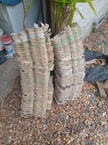 egg cartons